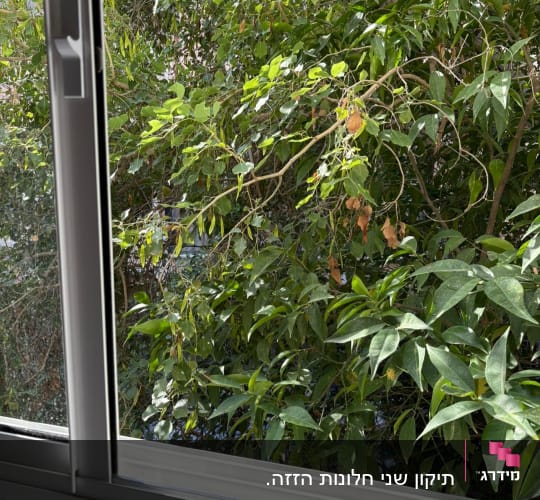חלון פתוח עם נוף של עצים ירוקים בחוץ